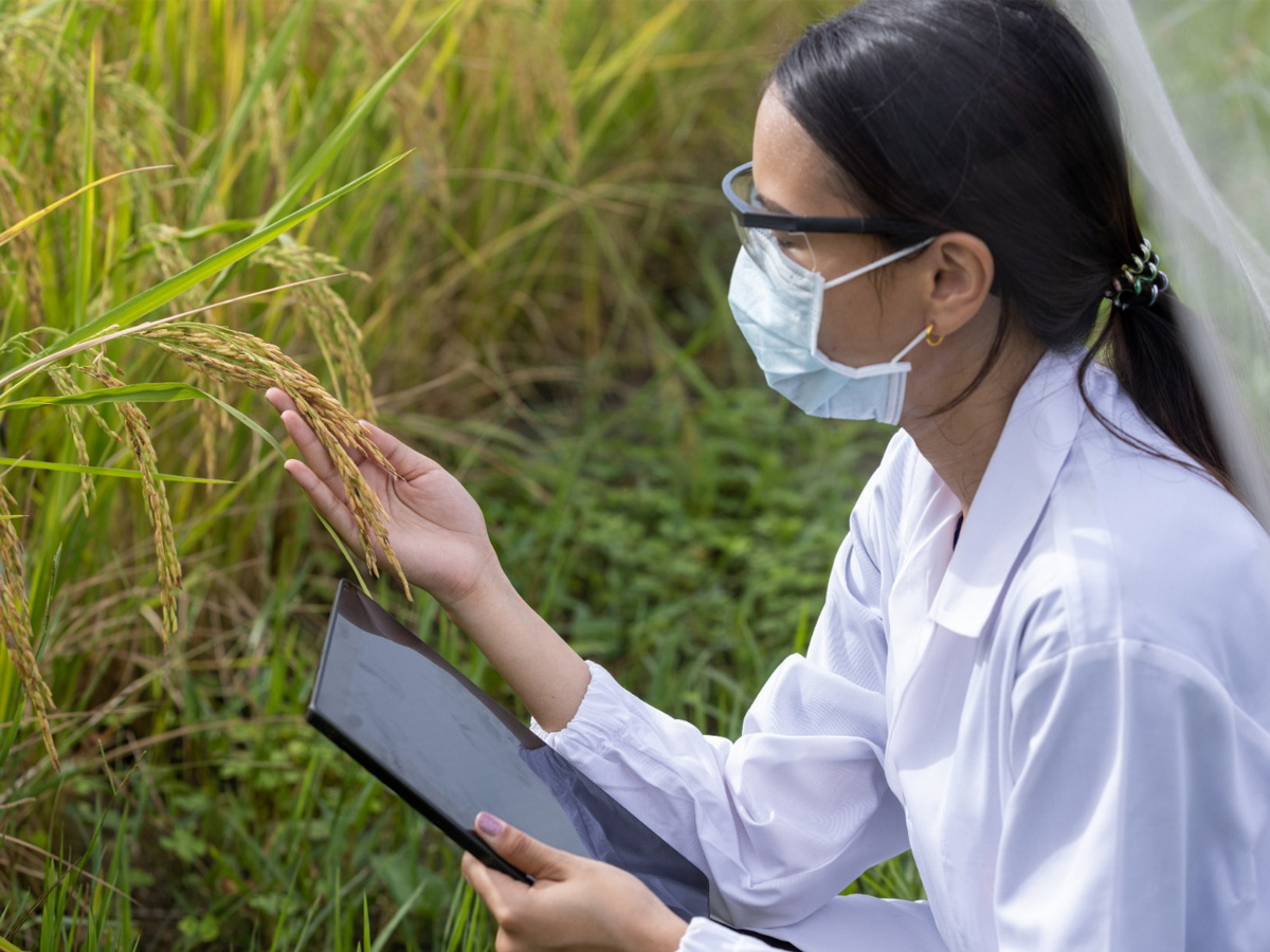 Informes Sanitarios para la agricultura: cumplimiento normativo y respaldo técnico para proyectos agrícolas