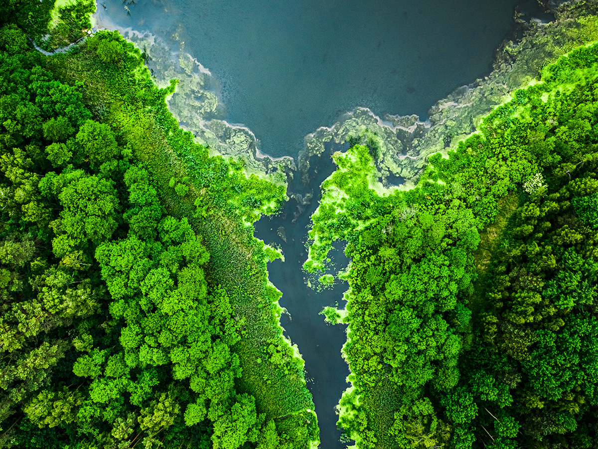 Consulta de Pertinencia de Ingreso al SEIA en Chile: ¿Cuándo es Necesaria?