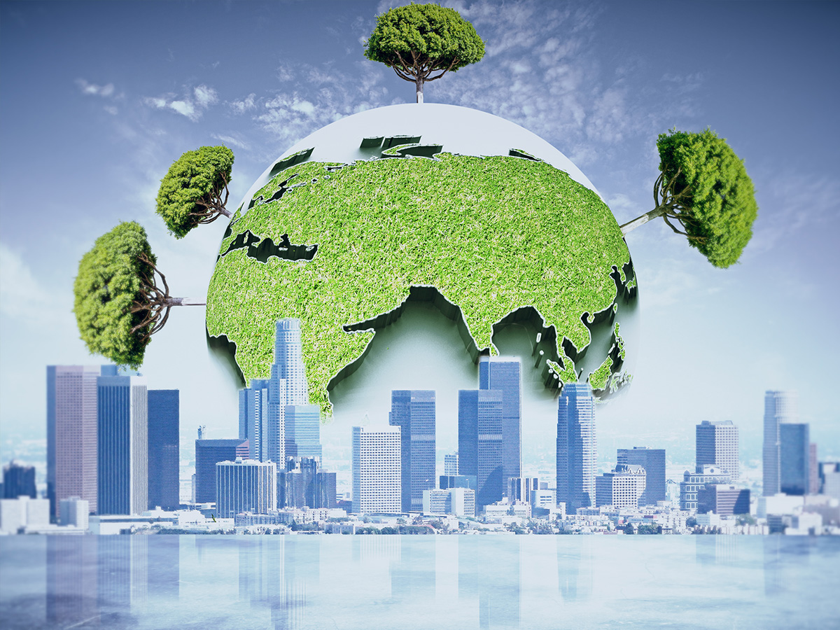 Declaración de Impacto Ambiental (DIA) vs Estudio de Impacto Ambiental (EIA): diferencias clave en Chile