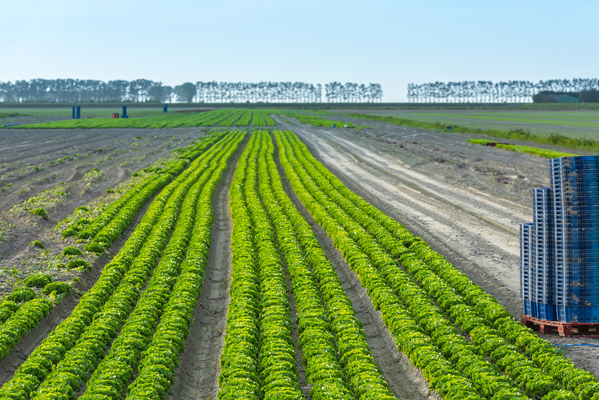Desafíos ambientales en proyectos agrícolas: aprendizajes a partir del seminario de Osorno
